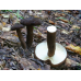 Мицелий Млечника древесинного / Млечник бурый (Lactarius lignyotus)